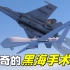 苏-27空中贴脸放油，能打坏无人机的螺旋桨吗？离奇的黑海手术刀坠机事件