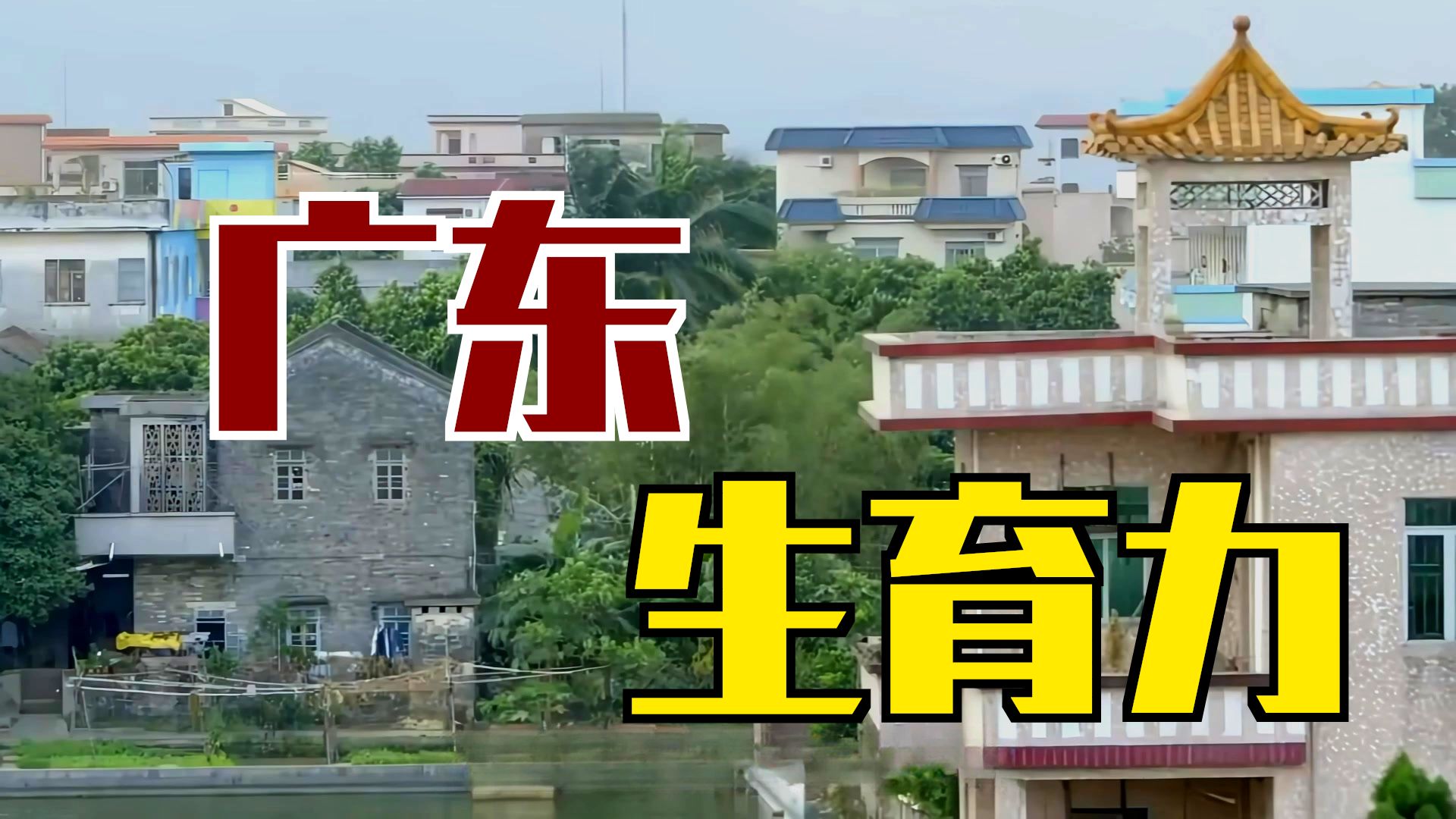 广东生育这么能打 ，因为女拳打不起来？