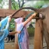 泰国一大象患严重便秘 医生集体上前通便 接下来一幕让人措手不及