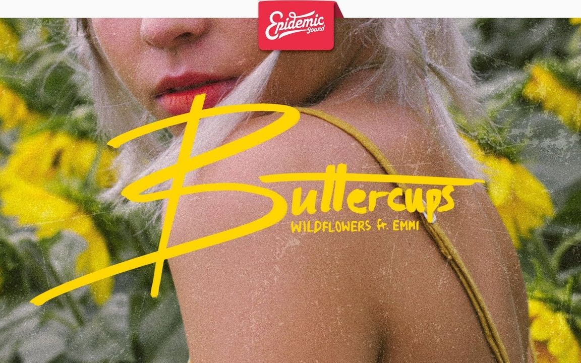 Wildflowers feat. Emmi I'm Falling In Love_哔哩哔哩 (゜゜)つロ 干杯bilibili