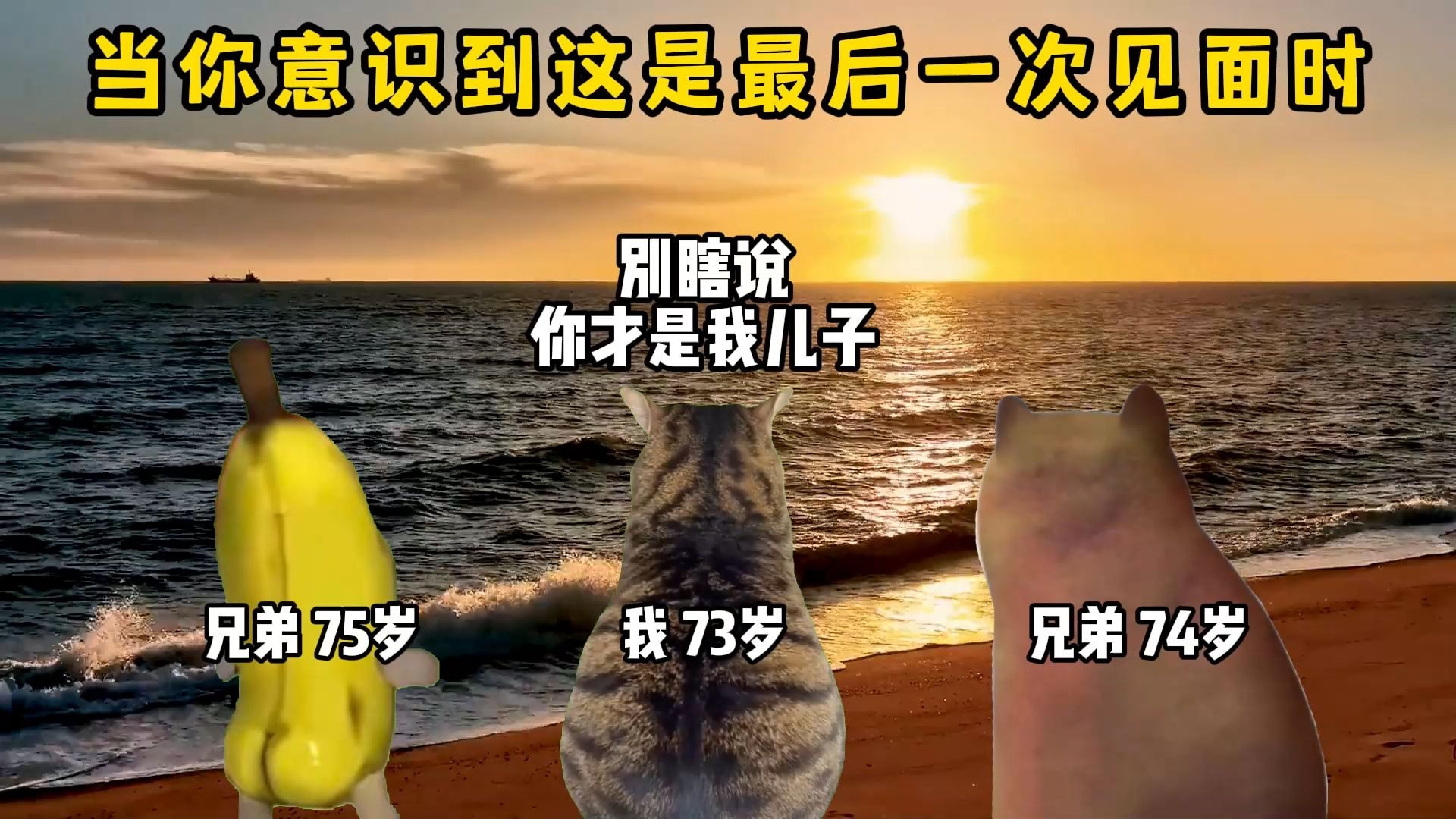 当你意识到这是最后一次见面时！