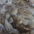 胶东大厨分享“酱爆巴梢”的做法，详细易学美味，果断收藏了