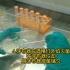 抗菌实验操作