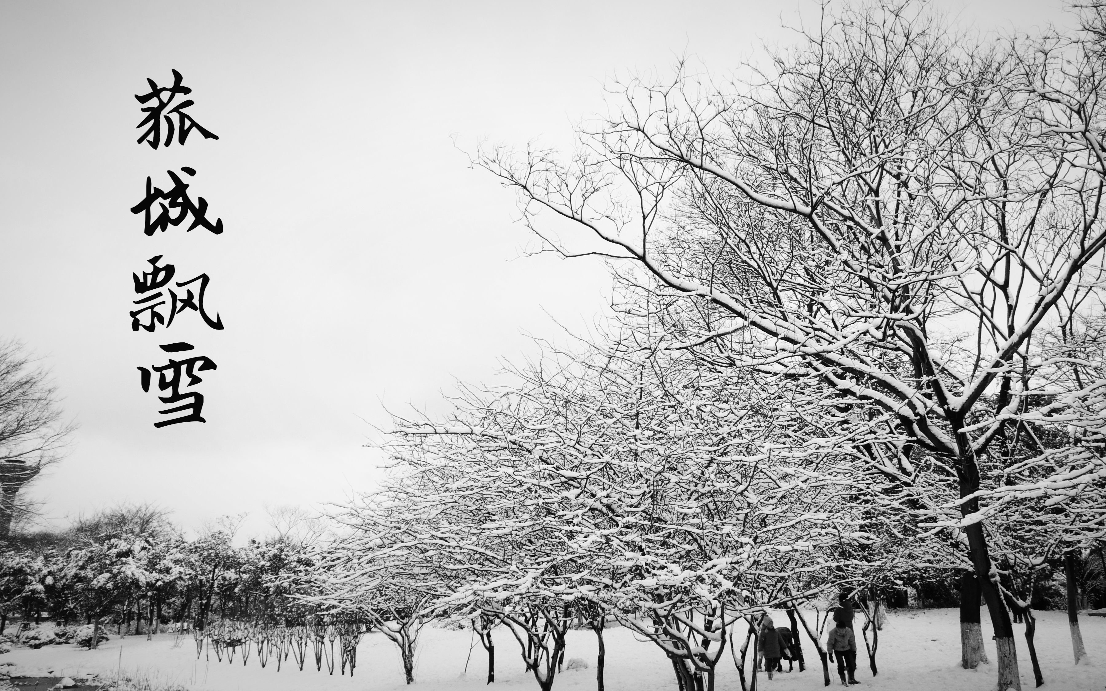 飘雪高清图片