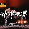 【Hi-Res】薛之谦 -动物世界- “人类用沙，想捏出梦里通天塔，为贪念不惜代价