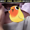 你的小鸡鸡被人看过多少次了