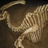 恐龙是让人着迷的史前生物，咱们来做一下基础科普吧！
