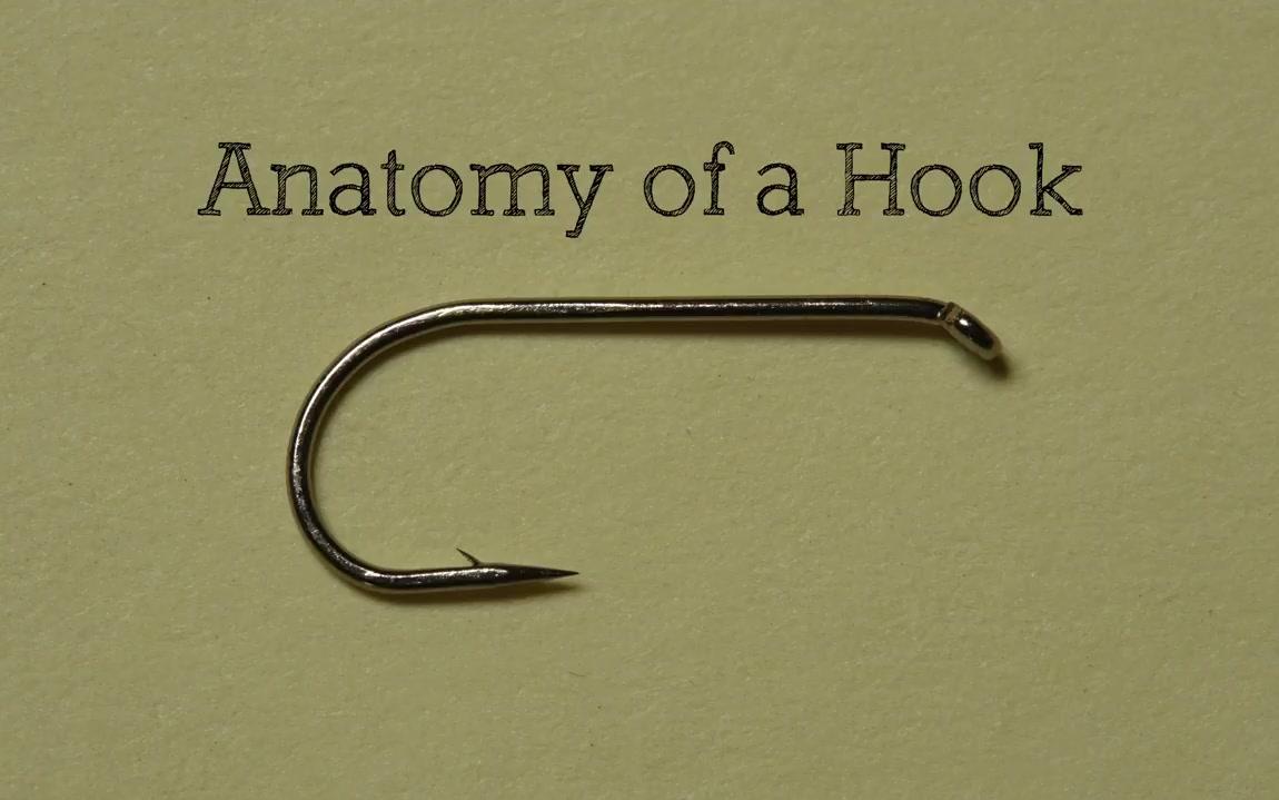 Hook Basics Anatomy of a Hook_哔哩哔哩 (゜゜)つロ 干杯bilibili
