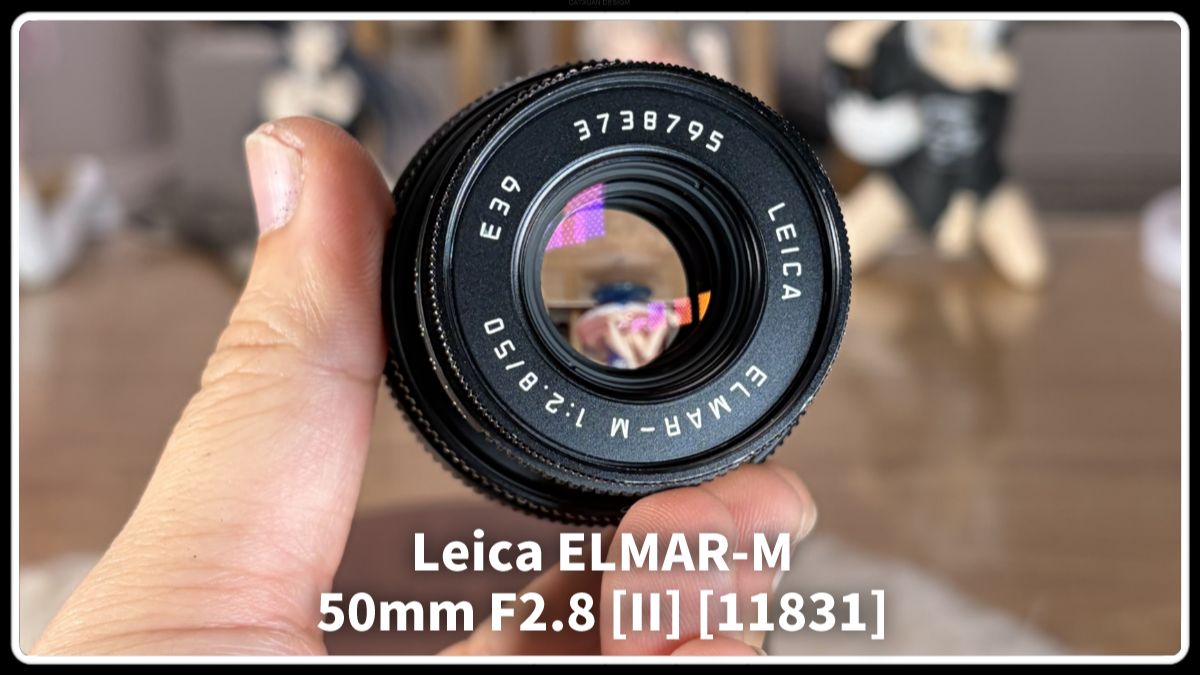 【除了画画啥都会】展示简测 徕卡ELMAR-M 50 F2.8 复刻版传奇伸缩头 转接4433基本完美 小小的也很好用 整体使用舒适 猫猫最爱