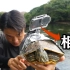 把相机绑在乌龟壳上  竟然拍到了乌龟在水底的捕食画面