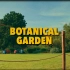 Botanical Garden / 深圳罗湖·漫游仙湖植物园 Vintage Film (4K)