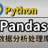 【比啃书更有效！】B站讲的最好的Python教程，数据分析处理库-Pandas最新最详细985+211高校强推的通俗讲解