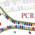 PCR工作原理