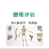 徐高磊教授《姿势评估解剖学分析》——腰椎评估