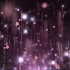 唯美动态粒子光效花瓣上升背景视频元素59942