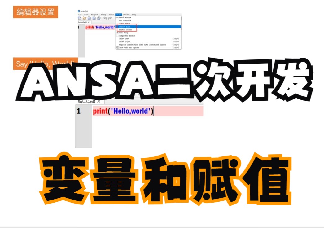 ANSA二次开发_变量与赋值