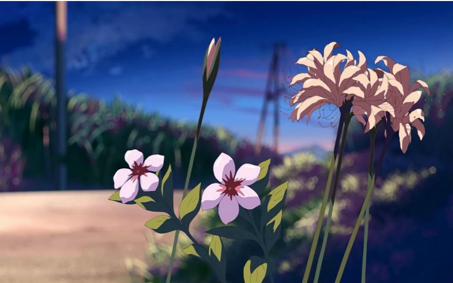 秒速五厘米 中文版视频在线观看