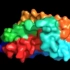 生物动画之蛋白质折叠