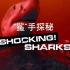 【CCTV9-HD】纪录片《“鲨”手探秘》Shocking Sharks【1080P】