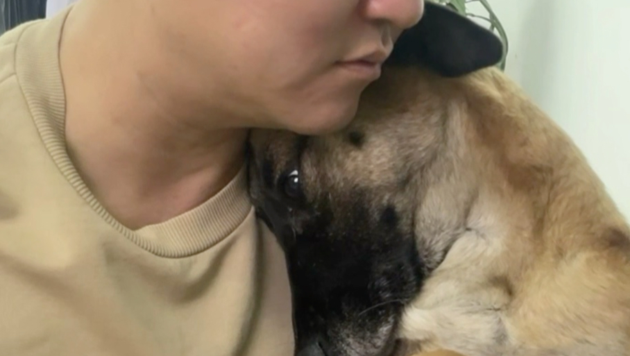 狗狗听懂人话了