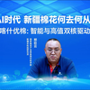 AI时代，新疆棉花何去何从？喀什优棉破局之道：智能与高值双核驱动