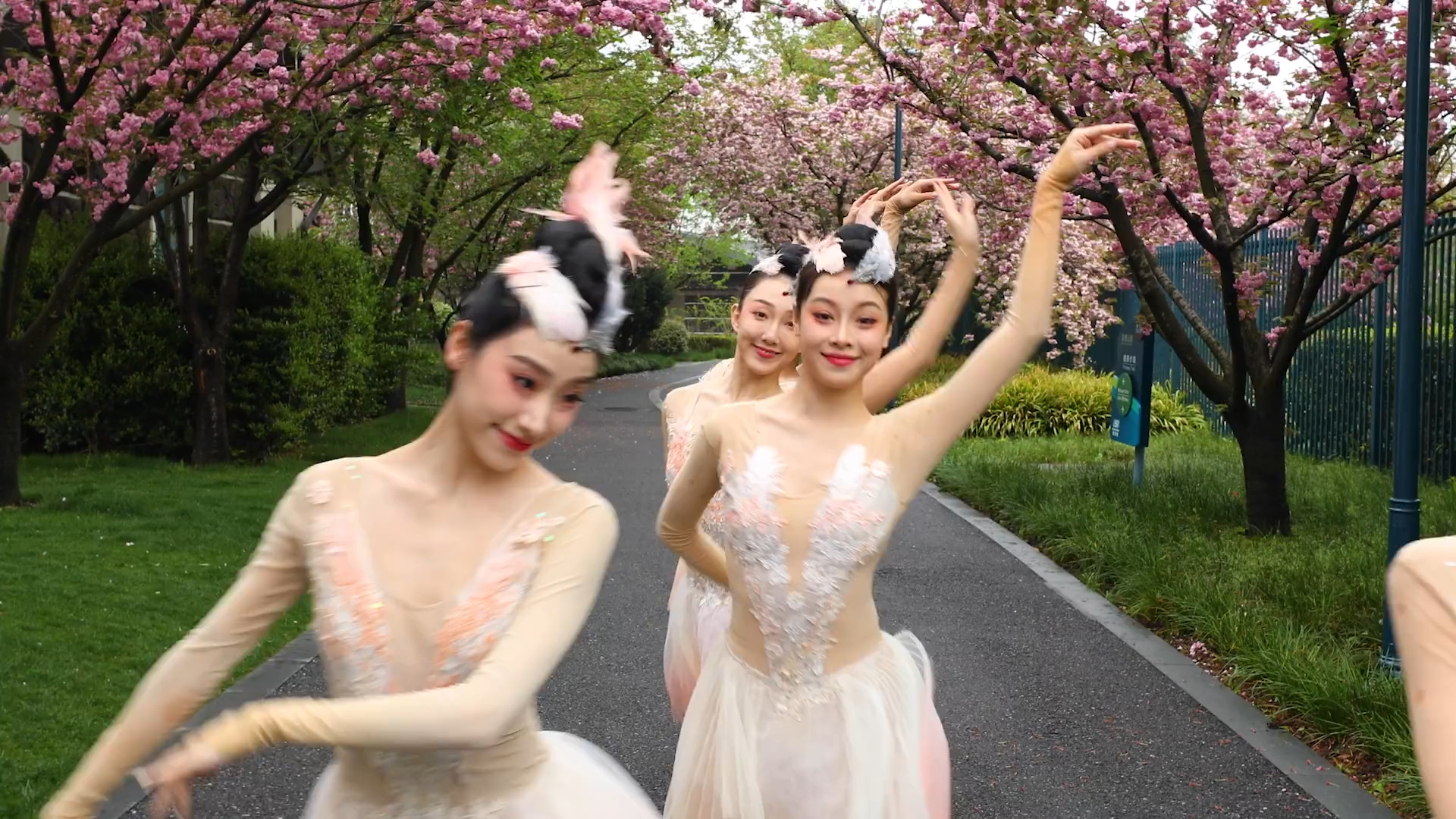 【上海歌舞团X上海迪士尼】梦幻联动！朱鹮起舞星愿公园！
