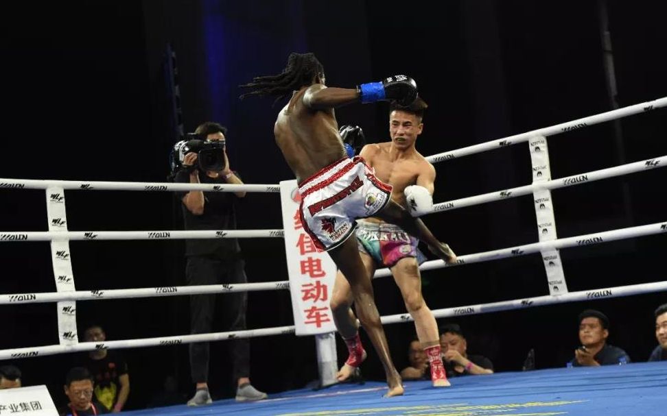 武林风2019笼中对