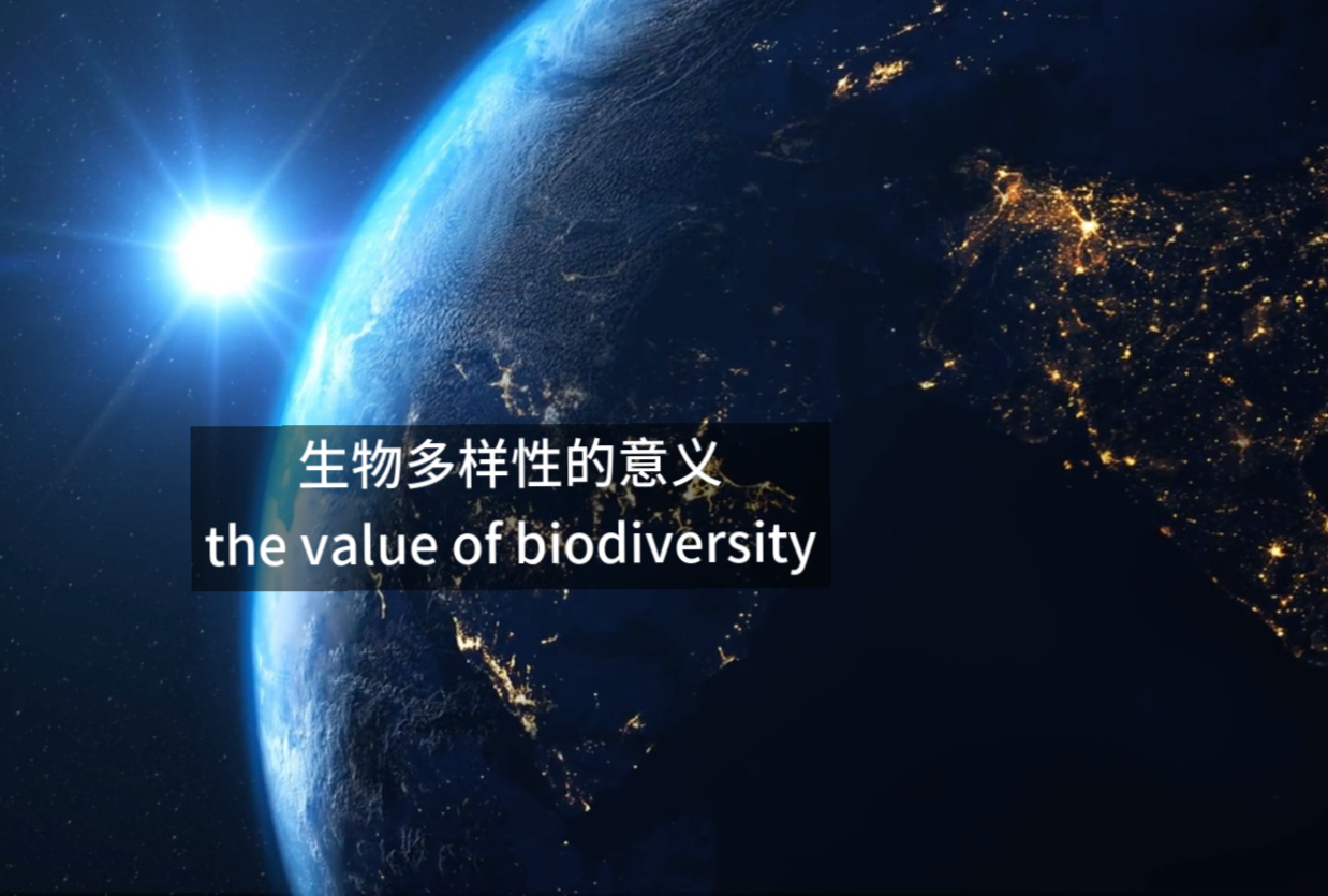 生物多样性对于世界的意义是什么？