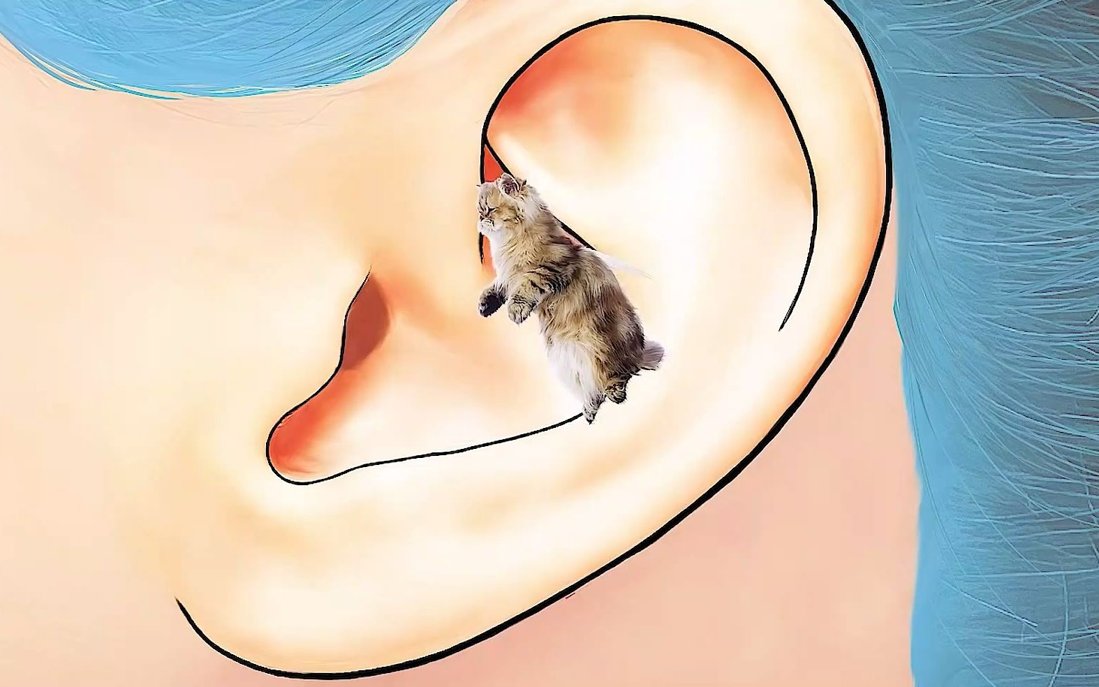 酷炫惊人的耳朵清洁动画