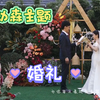 动森主题婚礼💒3.11【动物森友会