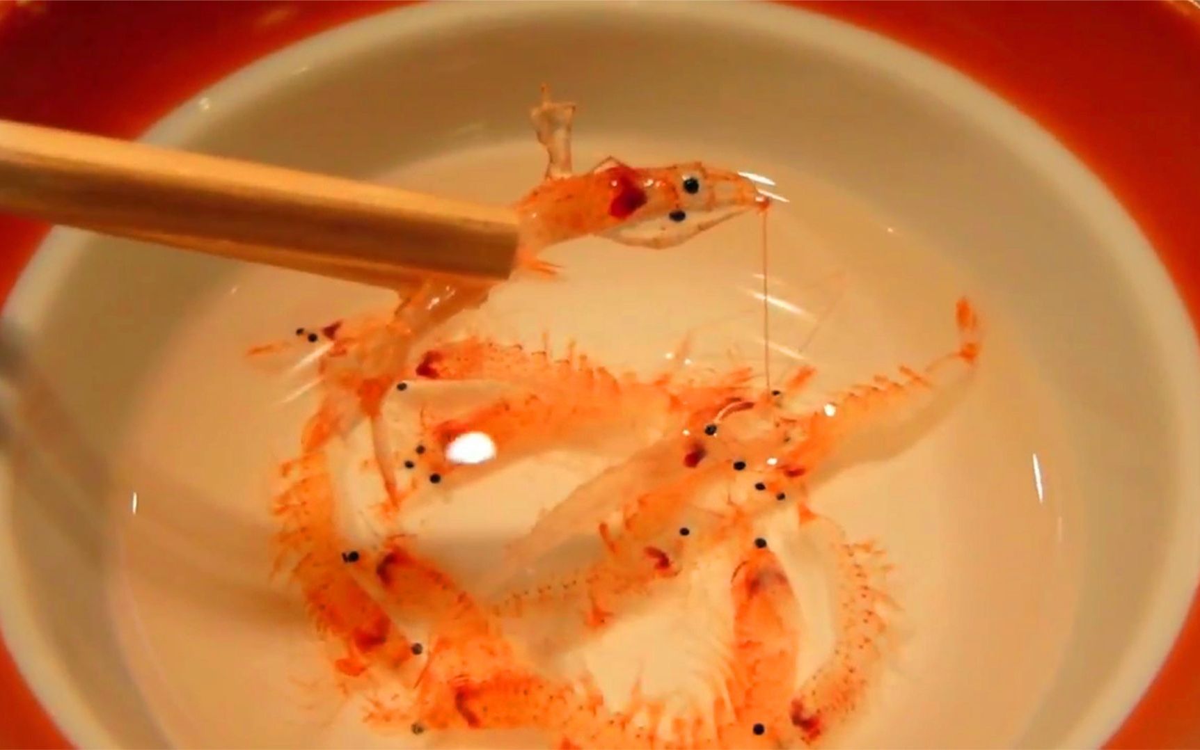见识一下日本人吃小鱼，在水里游着就直接夹出蘸酱吃，真是开眼界