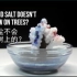 【Home Science】5个用盐做的趣味小实验