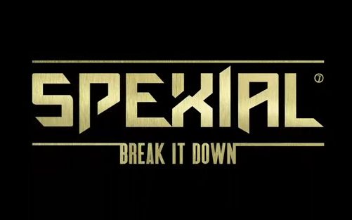 【布布/翻唱】【spexial】心流感
