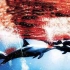 还记得震惊世界的《海豚湾》吗？被海豚血染红的“地狱”港湾—太地町！