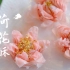 荷花酥｜桃花酥｜春节期间做了很多中式甜点，荷花酥真的颜值天花板，美极了！