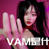 VAM系列之一 VAM概述 基本界面 上手 菜单简介