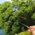 Oil Painting | 写实风景画~关于树木的描绘
