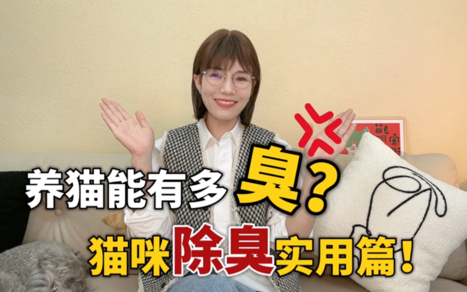 养猫除臭省钱攻略|花小钱办大事!-李多猫UMAO-李多猫UMAO-哔哩哔哩视频