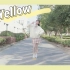 【亦菲】Yellow【HB to 七河】