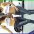 【4K歪头】CHEON SERA 韩国车模，牛仔裤真的很好看！