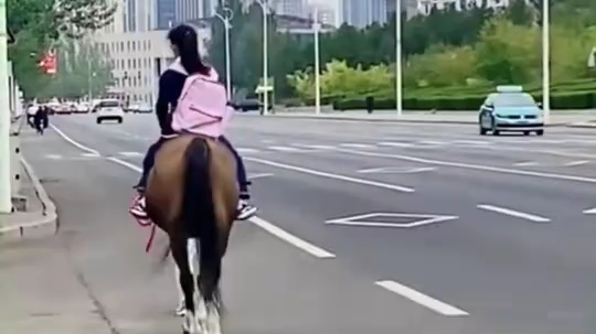 内蒙古小女孩骑马上学