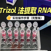 Trizol法提取RNA（完整实验操作步骤