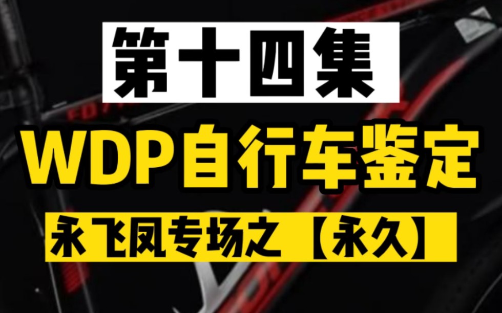 【WDP自行车鉴定】永久专场(第十四集)