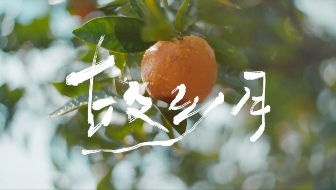 梓渝｜《故乡月》MV今日上线！镜头定格岁月温柔，旋律承载乡愁绵长。在这个团圆时刻，赠予每一份心向故乡的思念。