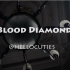 【欧美模特剪辑】Blood Diamond