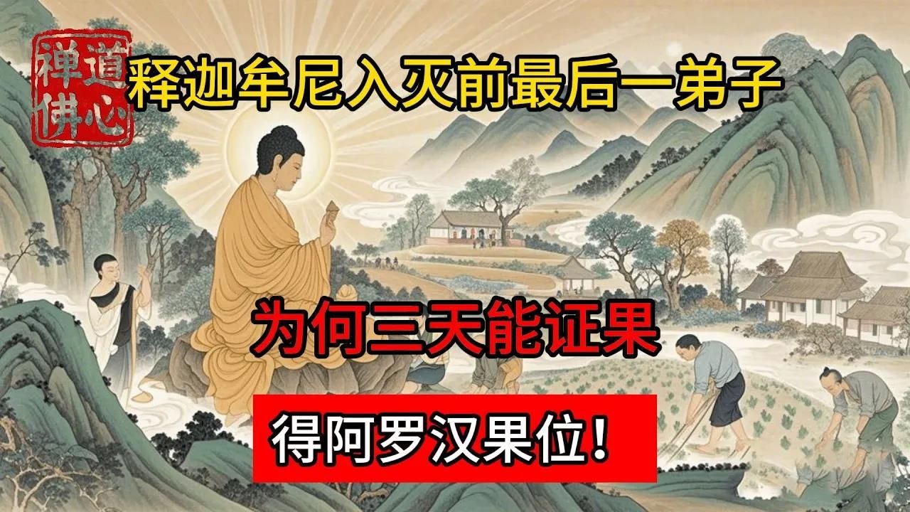 釋迦牟尼入滅前最後一弟子，為何三天能證果，得阿羅漢果位 #佛教 #禪學 #禪道 #修心修行 #禪道佛心 #禪悟人生 #南無阿彌陀佛