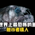 世界上最恐怖的鱼——胆小者慎入！！！