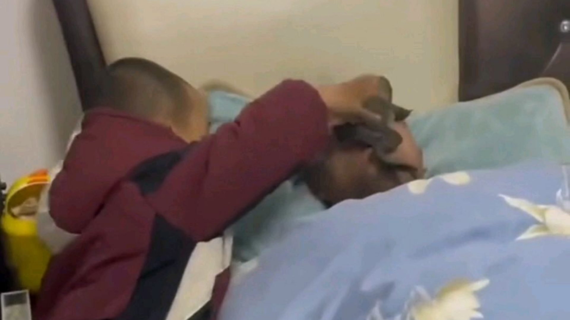 Count me out if you don't laugh at the confusing behavior of human cubs!