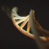 【HD 免费可商用视频素材】作品: DNA 作品: JohannesW