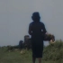 【剧情/爱情】《小城之春》(1948)  高清1080p  修复上色版